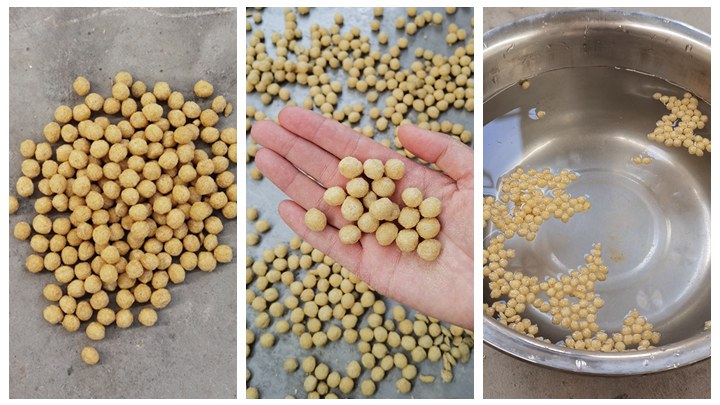 dry type koi fish feed making machine in Uganda
